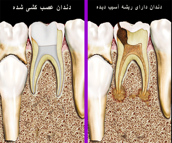 دندانپزشکی مرکزی کرج